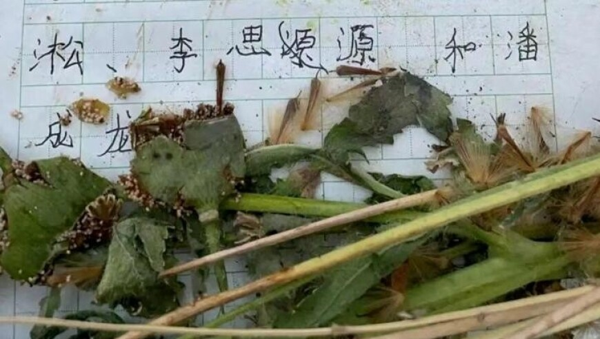 彩票开奖结果今晚开奖,胡静边哭边读老公手写告别信,展开解析落实_开发版V10.11